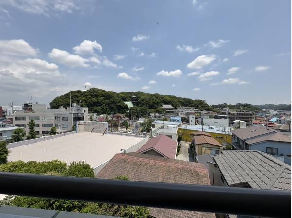 玄関の扉を開けると緑が広がります