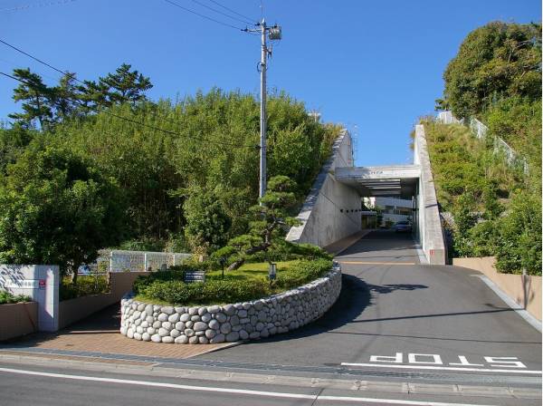 瑞々しい緑に囲まれたアプローチ