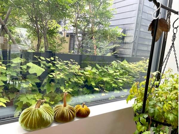 階段には大きな窓を配置！自然をいっぱい感じるお家でございます！