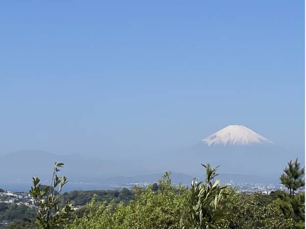 海だけでなく、雄大な富士山も望む。鎌倉山の中でも、限られた海を望む場所
