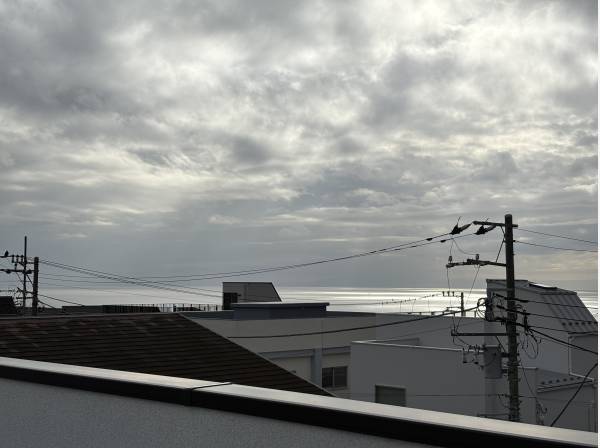 屋上です