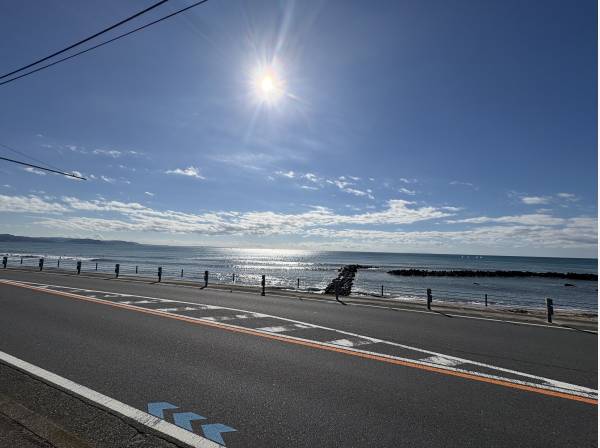 敷地から海を見ています
