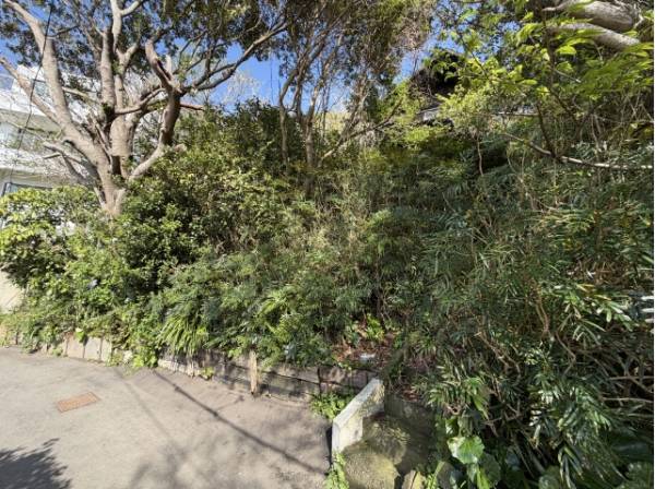 下側の道路部分です。