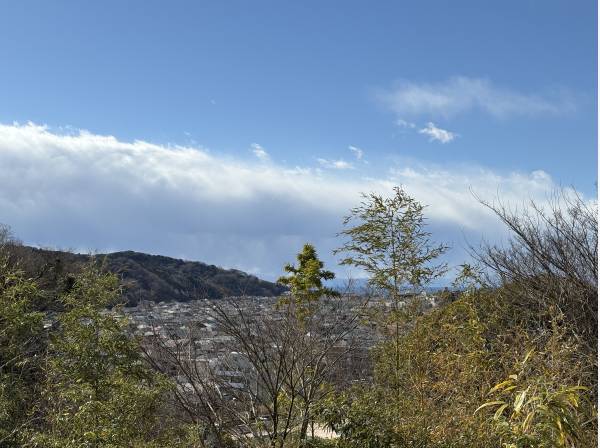 １分も歩けば海を望むスポットも。お散歩したくなります(約70ｍ)