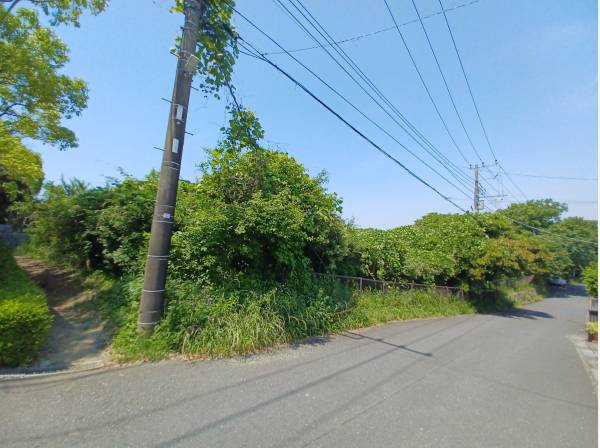 前面道路に何か散歩道が！？