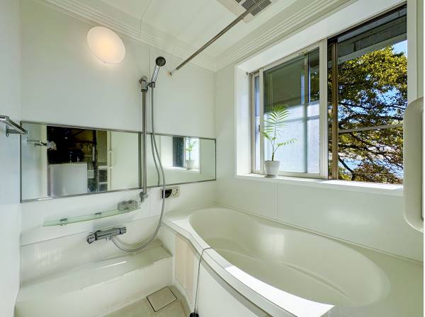 癒しのビューバス