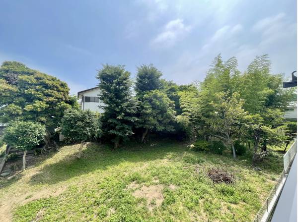 バルコニーからは住宅裏手の開放感ある緑を望めます