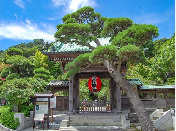 長谷寺にほど近い観光エリアに存しております。（長谷寺まで約370ｍ）