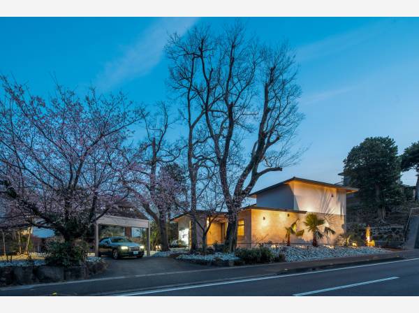 大きなシンボルツリーがお出迎え/お問合せ心よりお待ちしております