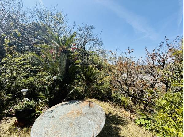 約130坪の広大な敷地