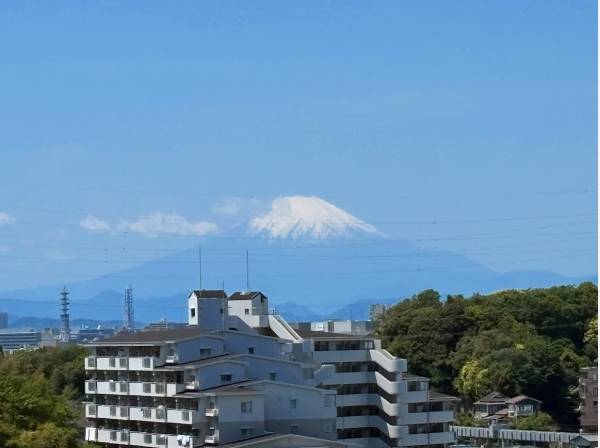 富士山がはっきりと見えます！