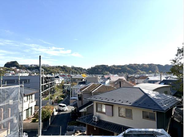 美しい緑を眺める眺望です。