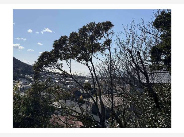 2階からも海を一望です！