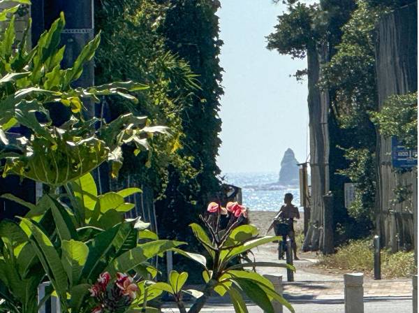 茅ヶ崎海岸 徒歩7分(約560m)