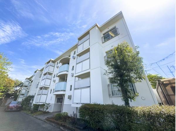 豊かな植栽に囲まれた3階建の低層マンションです