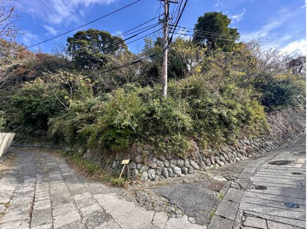 対象地/緑豊かな環境