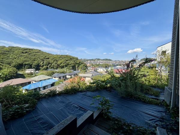 朝のティータイムなどにいかがでしょうか？