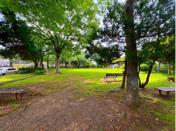 緑豊かな開放感あふれる公園でございます♪