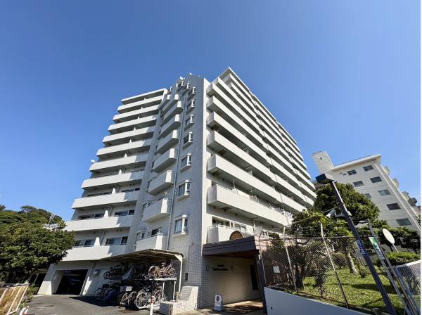 お気軽にお問い合わせください!