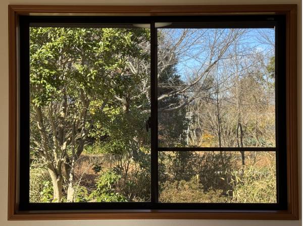 額縁は窓。飾るのは森と空。