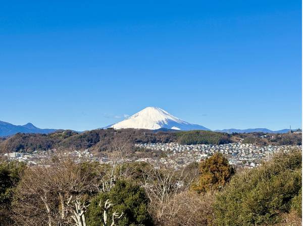 富士山を望む大磯城山公園まで徒歩12分 (約900ｍ)