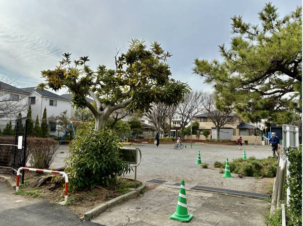 家の目の前が公園なので、ファミリーで楽しめますよ。