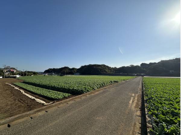 前面には、のどかな田園風景