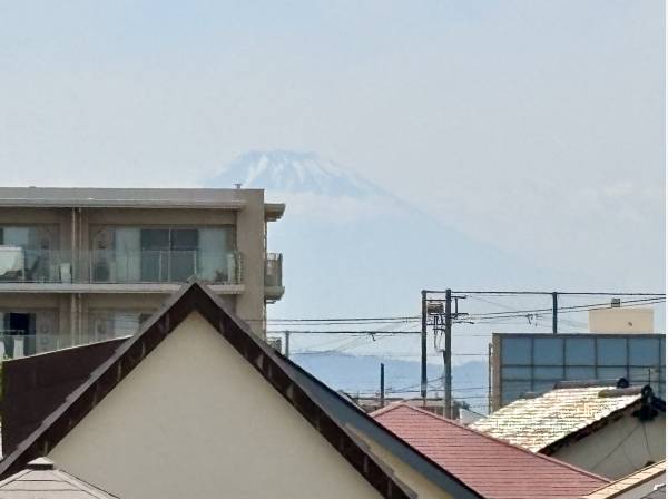 雄大な富士山を望みます