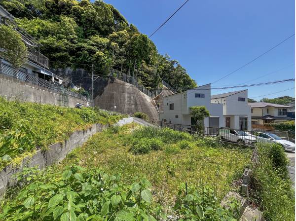 緑の森に包まれたような現地です