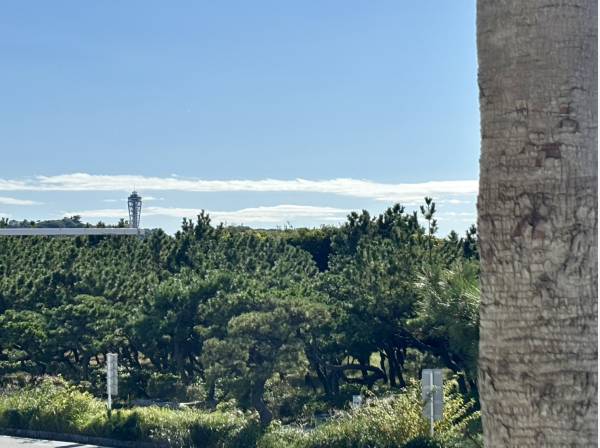 江ノ島を遠望できます