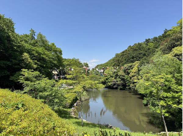 豊かな自然が広がる「鎌倉中央公園」まで徒歩１２分(約890ｍ)