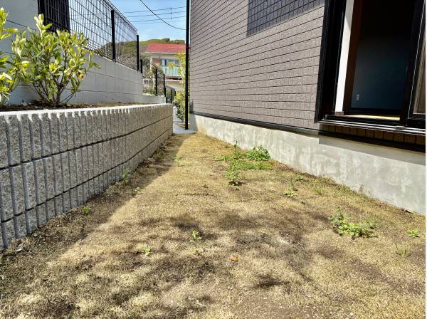 ちょっとした裏庭があり、そこでカフェでもどうですか？