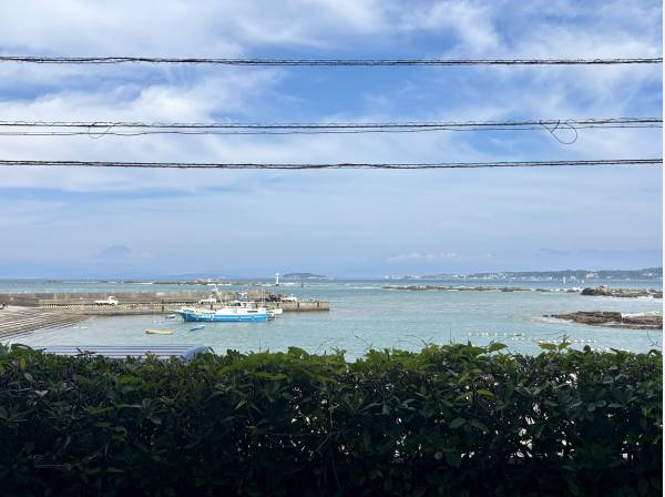 美しい海を眺めます。