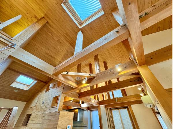 美しくダイナミックな構造のあらわし