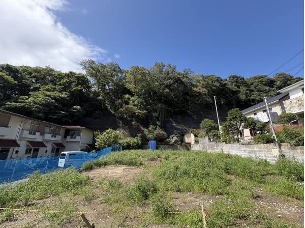 現地の様子です。緑に囲まれた自然いっぱいの場所です。