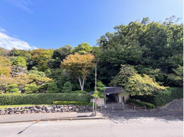 テラスからは城山公園の自然を眺望できます