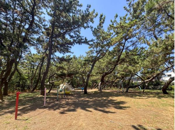 小和田浜公園まで徒歩5分（約350m）
