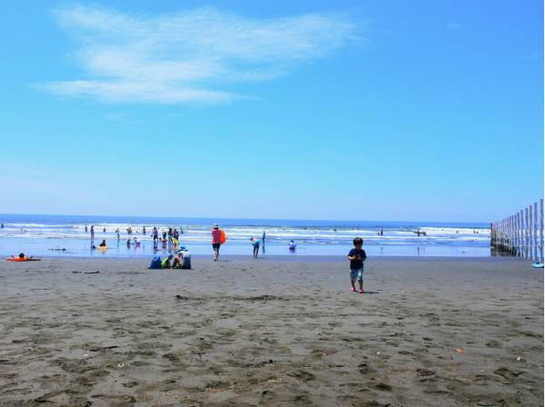 片瀬海岸まで徒歩13分（約970m）