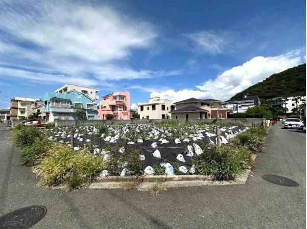 葉山らしい自然豊かなロケーション