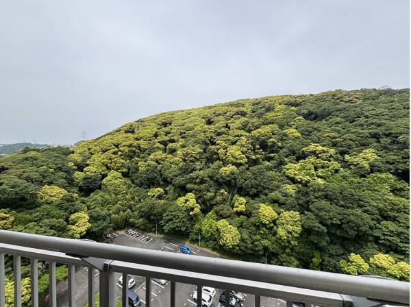 居室からの眺望