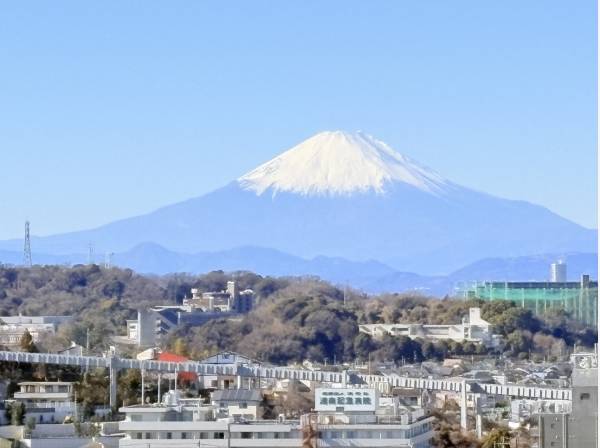 富士山をしっかり望みます。