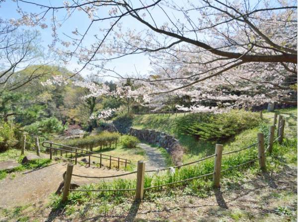 鎌倉中央公園まで徒歩7分(約500ｍ)