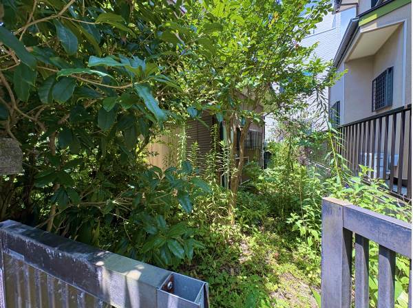南面日当たりもよく、ガーデニングや家庭菜園にも向いてそうです！
