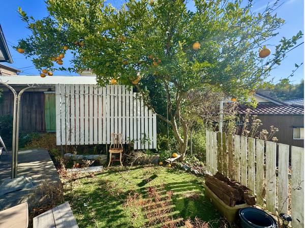 木漏れ日と柑橘のある庭。外時間が自然に増える暮らし。