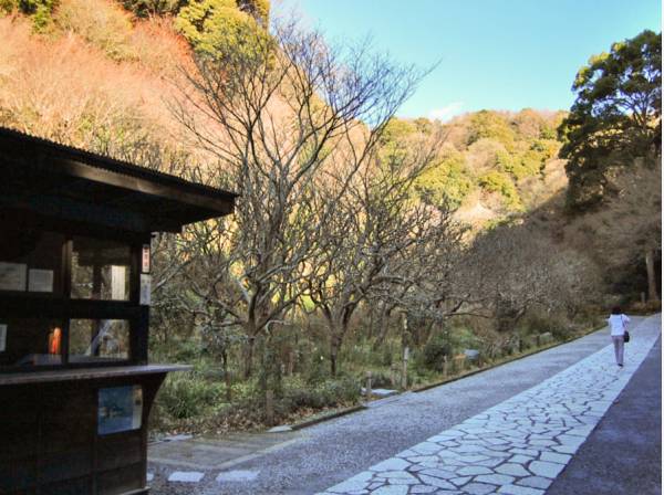 瑞泉寺まで約220ｍ