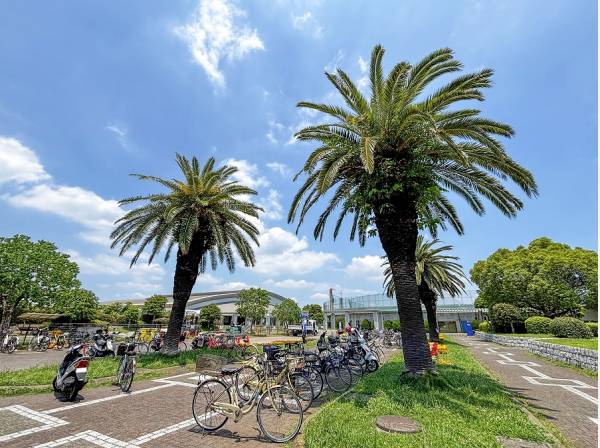 藤沢市立八部公園まで徒歩7分（約500m）