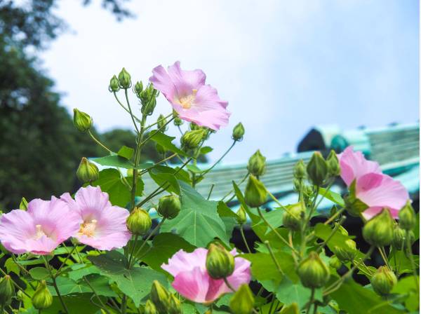 龍口寺まで約600ｍ（徒歩9分）