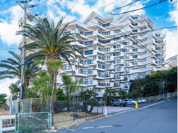 風に揺れるパームツリーがリゾート感を演出