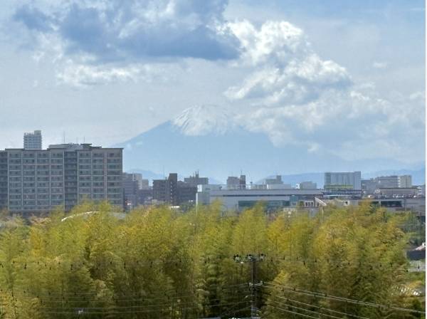 富士山を眺めます。