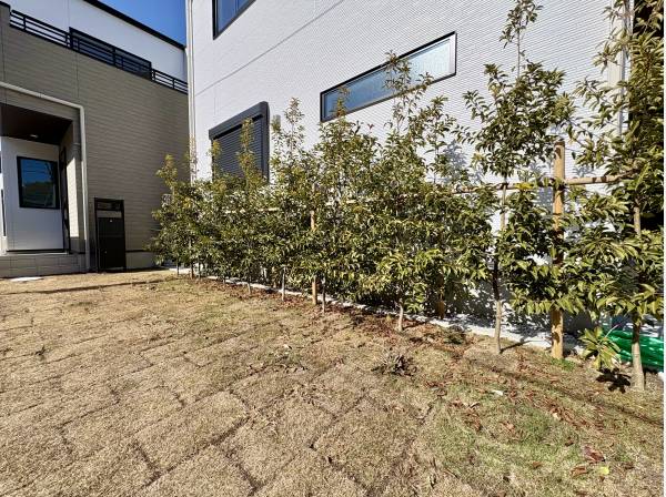 玄関アプローチのお庭部分